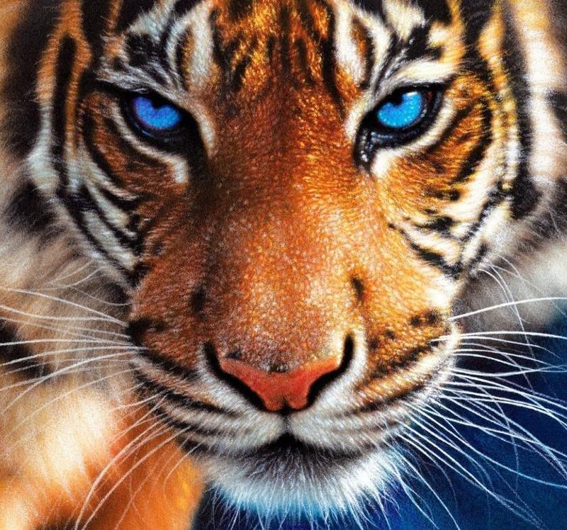 los problemas de tu cliente