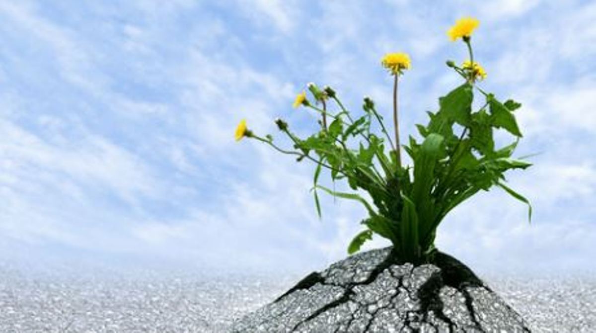 el poder de la perseverancia en ventas